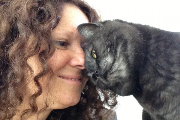 An Interview with the Late Dr Sophia Yin by Anita Kelsey (Cat Behaviourist) | Vet Index